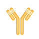 ULVI ANtibody
